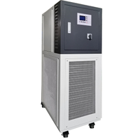 50~200℃ Industrial Heating Circulator/ Circulating Heater
