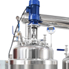 100L Jacketed Stainless Steel Reactor